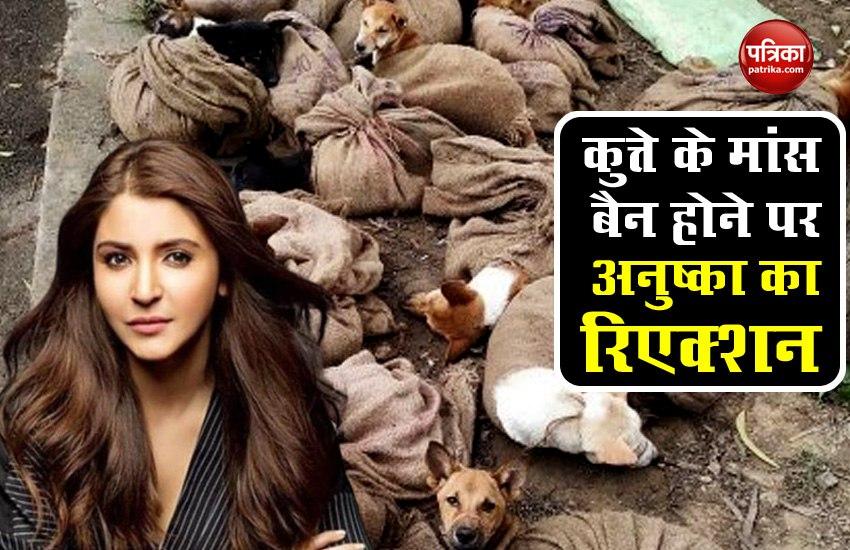 Actress Anushka Sharma React On Nagaland Dog Banned Decision