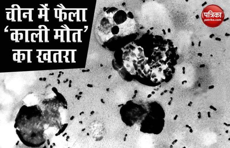 What is Bubonic Plague or Black Death,