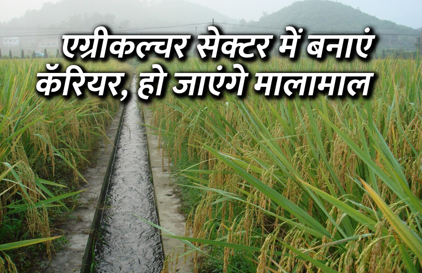 Career in agricultre, career tips in hindi, career courses, education news in hindi, education, top university, startups, success mantra, start up, Management Mantra, motivational story, career tips in hindi, inspirational story in hindi, motivational story in hindi, business tips in hindi, 