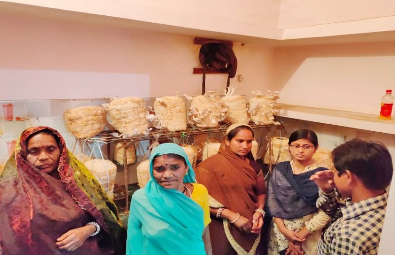 नई तकनीक से खेती ने महिलाओं को बनाया आत्मनिर्भर