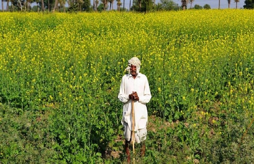 राजस्थान का यह फर्मूला करेगा किसानों की आमदनी दुगुनी