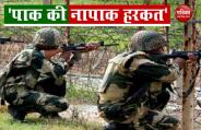 JK: Woman killed another injured in Pak shelling in Poonch