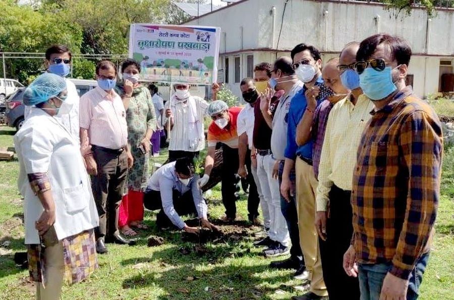 कोटा शहर को हरा भरा बनाने को उमड़े संगठन, एक दिन में लगाए 700 से ज्यादा पौधे