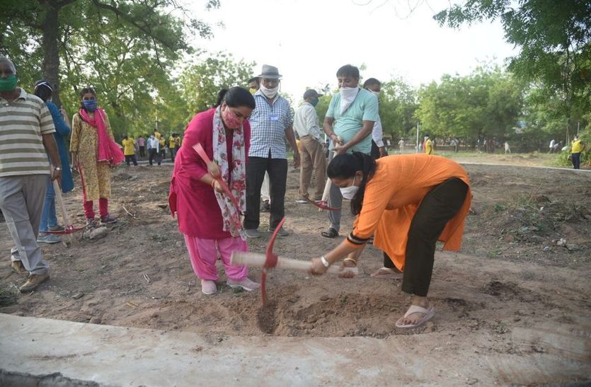 एक साथ जुटे सैकड़ों हाथ तो संवर कई कलक्ट्रेट की सूरत