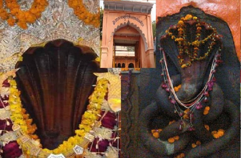 how to become free from KAALSARP DOSH