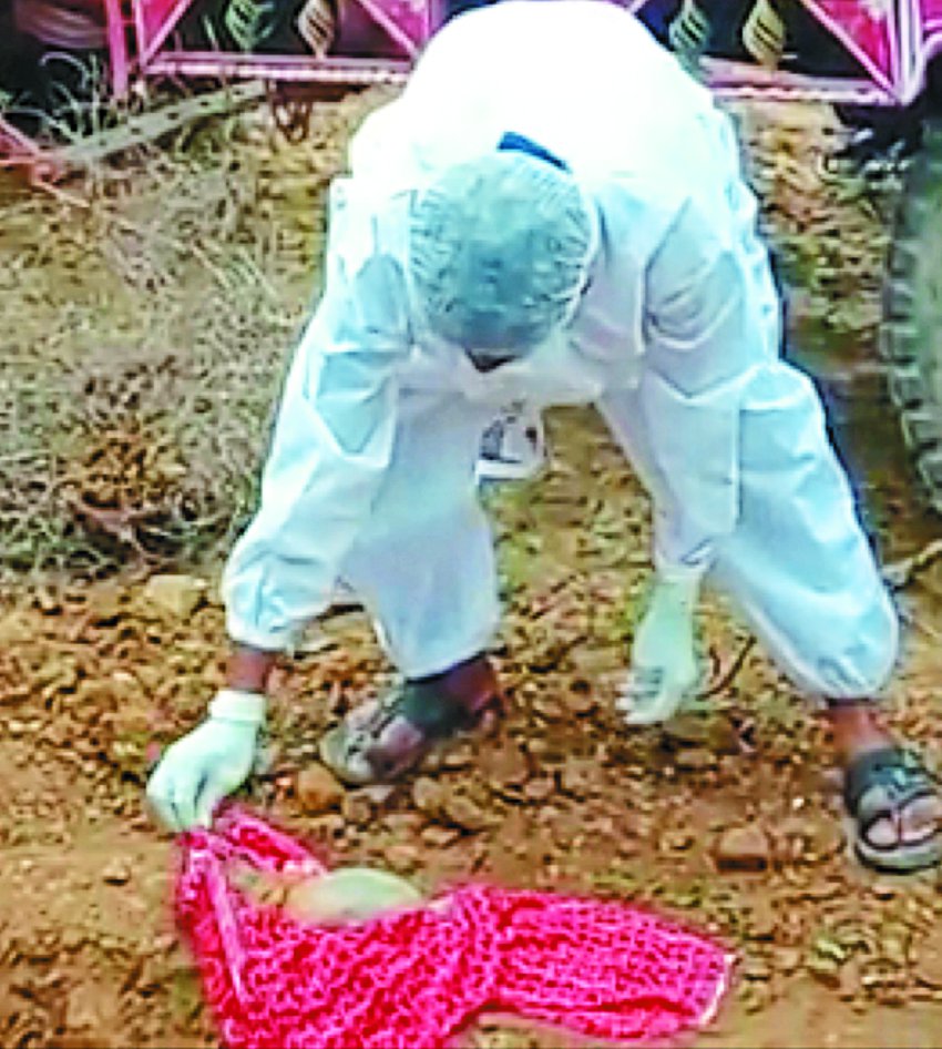 Newborn died, body buried, then police did it