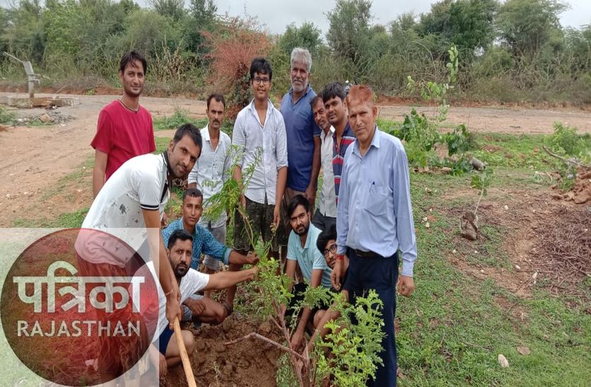 SIROHI युवाओं की अनोखी पहल : नानरवाड़ा में गोचर से अतिक्रमण हटा लगाए पौधे