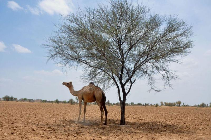 - किसानों की बीमित राशि तीन गुणा घटाई