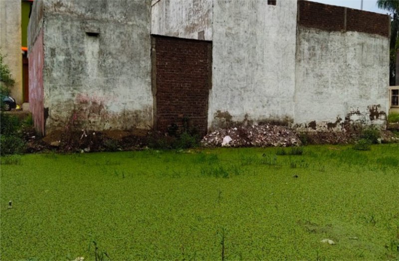 The foundation of houses being weakened by water filled in empty plots