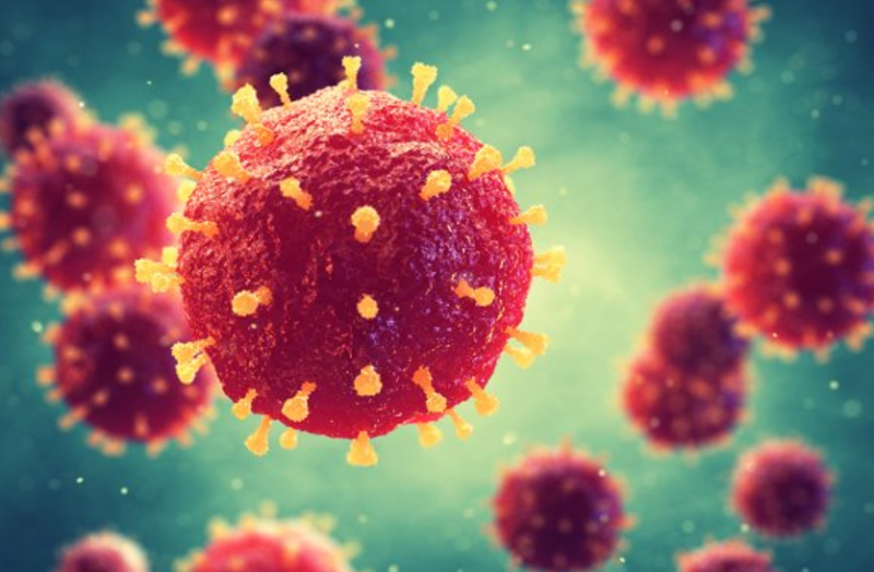 मुख्यमंत्री ने कराया कोरोना टेस्ट, जानिए कैसी आई रिपोर्ट