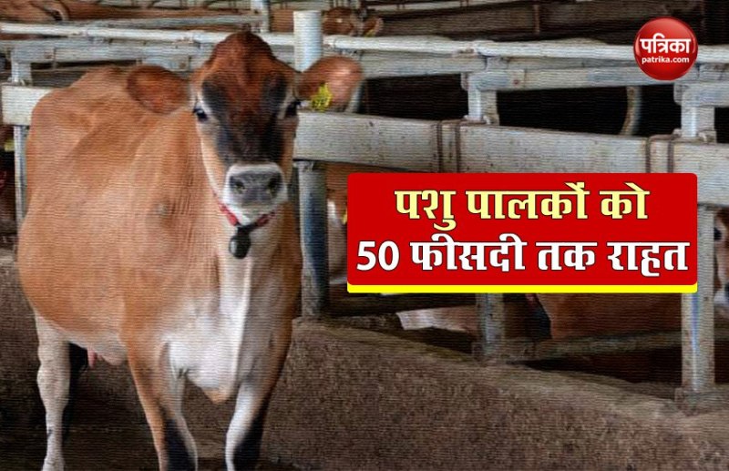 Pashu bima yojana 2020 : किसान के मवेशी की मौत पर सरकार देगी पैसा, जानिए कैसे उठा सकते हैं आप लाभ