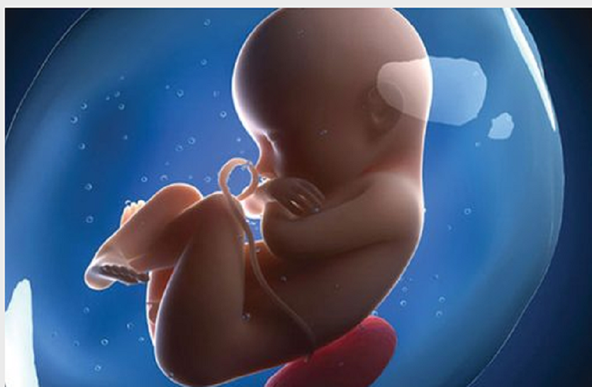 ऐसे रख सकते है गर्भ में गर्भस्थ शिशु का ख्याल