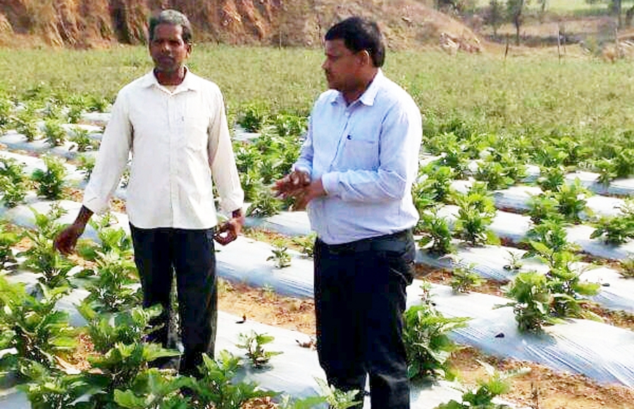 Agricultural societies of Singrauli are facing financial crunch