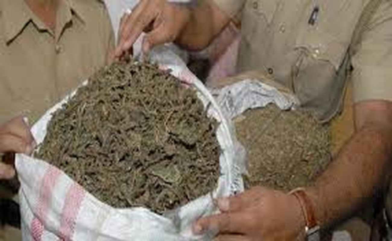 सोशल मीडिया पर वायरल वीडियो के आधार पर हथियार पकडऩे पहुंची पुलिस को मिला मादक पदार्थ
