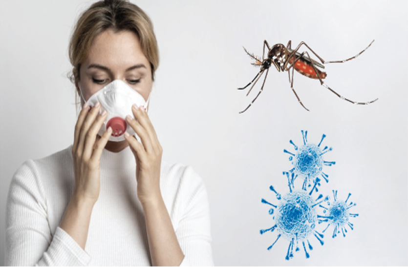 Covid-19: मच्छरों से इंसानों में नहीं फैल सकता कोरोना