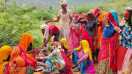 MNREGA scheme: 41 workers deteriorate, sarpanches raise their voice X MNREGA scheme X MNREGA scheme news X MNREGA scheme rajasthan X rajasthan top news in hindi X Rajasthan Manrega X