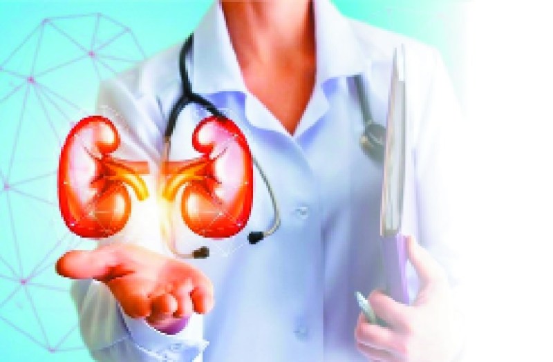 रोज 2.5 लीटर पानी पीएं, नमक ज्यादा खाने से किडनी को नुकसान