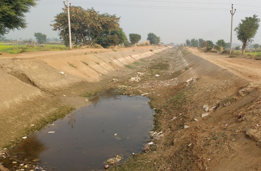 गुडगांवा कैनाल में पानी नहीं आने से सूखने लगी फसल, हरियाणा सरकार समझौते की नहीं कर रही पालना