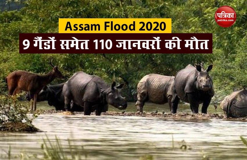 Assam Flood की स्थिति गंभीर, अब तक 84 लोगों समेत 110 जानवरों की मौत