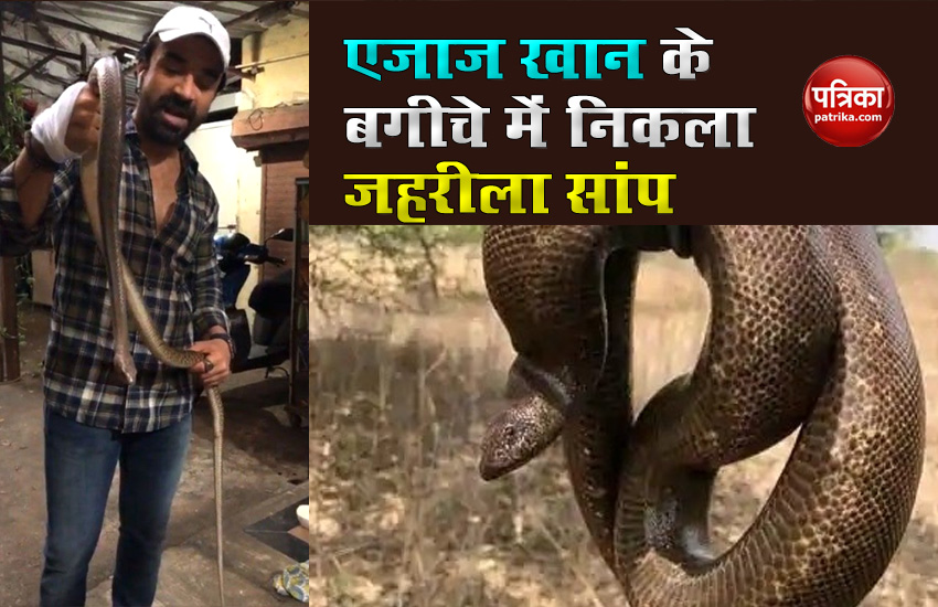 ajaz khan hold snake