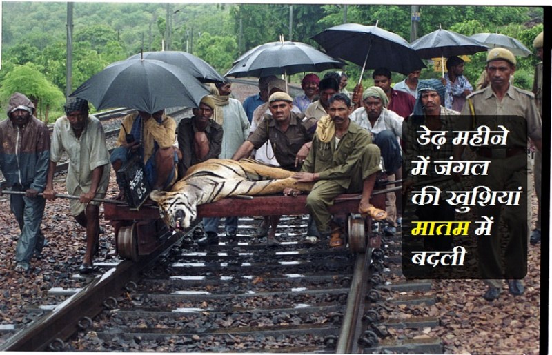 कोई नहीं भूला सका है वो मंजर, 17 महीने में ही टूट गया साथ...