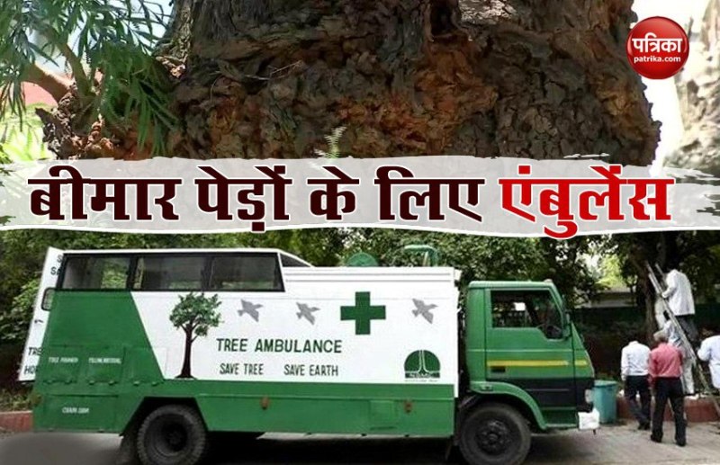 Tree Ambulance for sick trees in Chandigarh