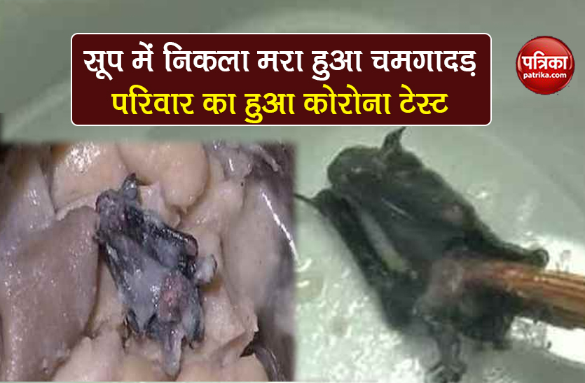 Coronavirus dead bats in soup while eating in china wuhan