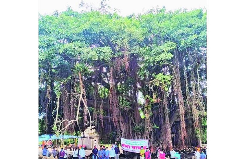 Mumbai News :  चार सौ साल पुराना बरगद का पेड़ अब नहीं कटेगा