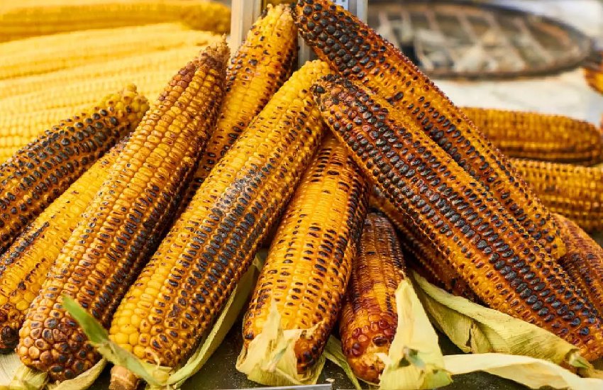 Corn Benefits :मानसून में जरूर करें कॉर्न का सेवन, सेहत को पहुंचाता है ये 5 फायदे