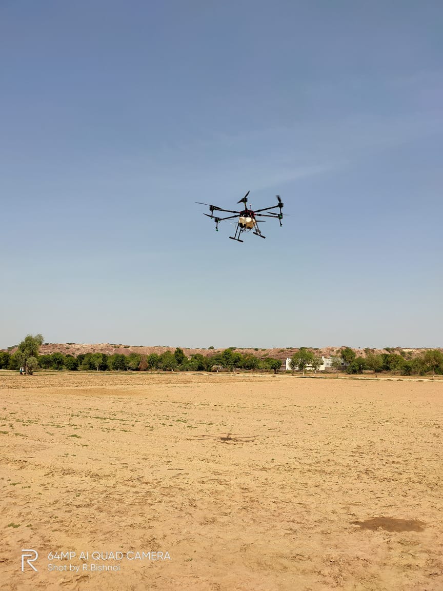 AGRICULTURE UNIVERSITY-- टिड्डियों के साथ फसली कीड़ों से मुकाबला करेगा कृषि विवि