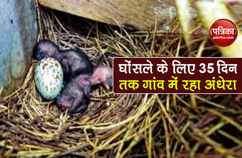 tamil nadu villageremained in darkness for 35 days to save bird's nest