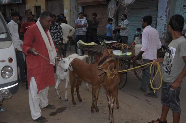 गेंडे वाली सड़क बकरा मंडी में लोग बकरा पसंद करते हुए