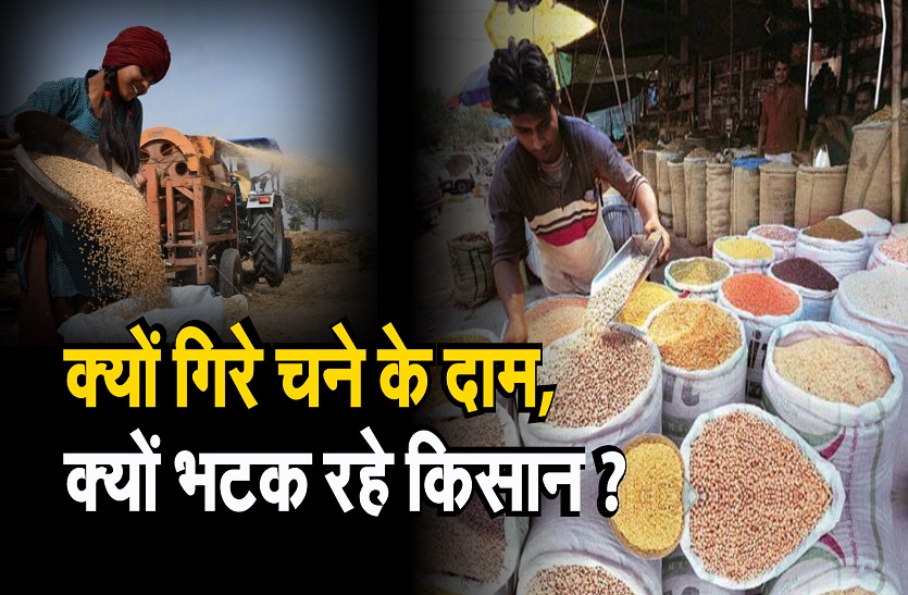 क्यों गिरे चने के दाम, क्यों भटक रहे किसान