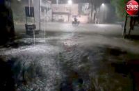 Watch video : रात में जमकर बरसे मेघ, सुबह किसानों के चेहरे खिले