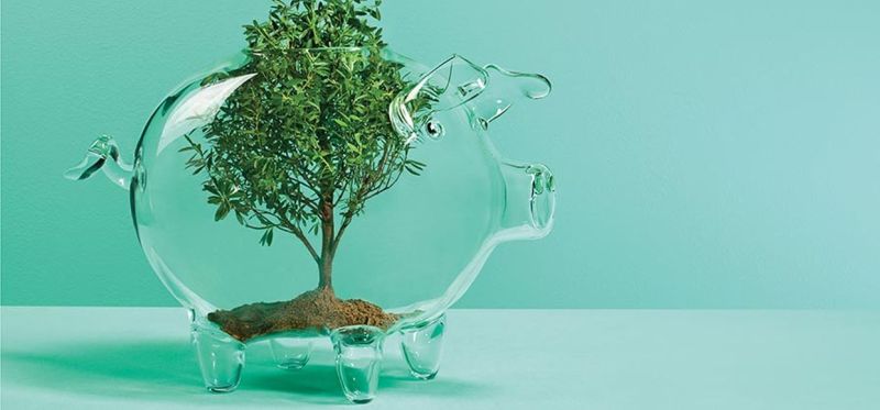 ग्रीन इकोनॉमी से सालाना 10 खरब डॉलर और 40 करोड़ नौकरियां मिल सकती हैं