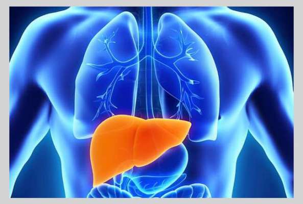 Hepatitis day, Hepatitis day 2020,Hepatitis day 2020