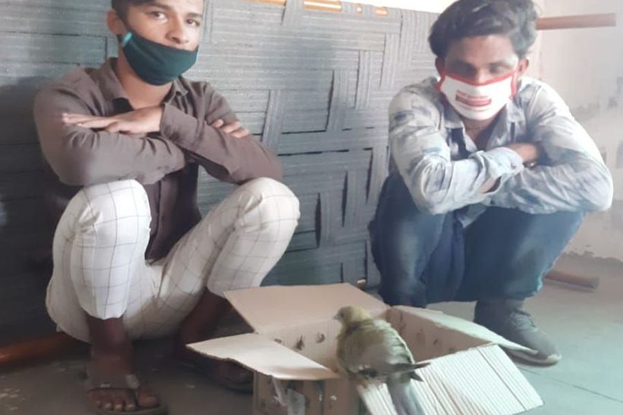 पक्षियों को जाल में फंसाने वाले खुद फसे जाल में