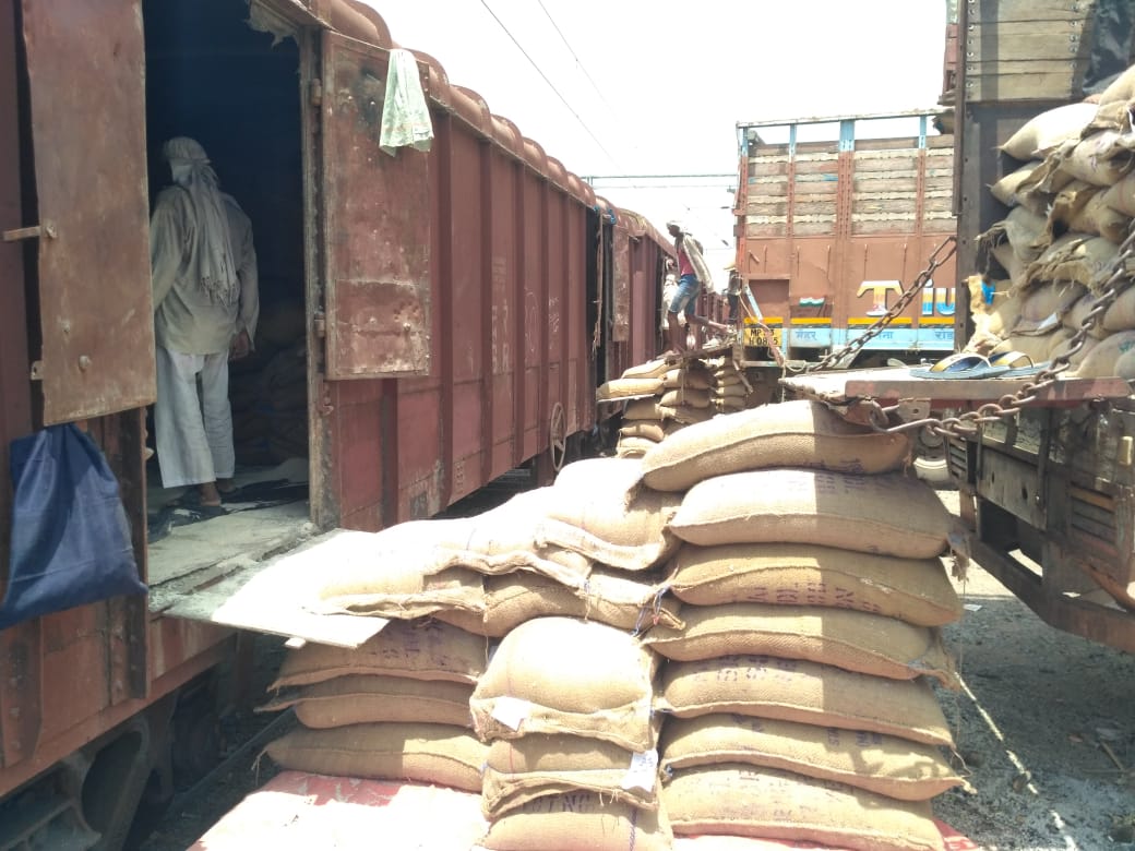 32 racks of wheat from Harpalpur railway station in 4 months