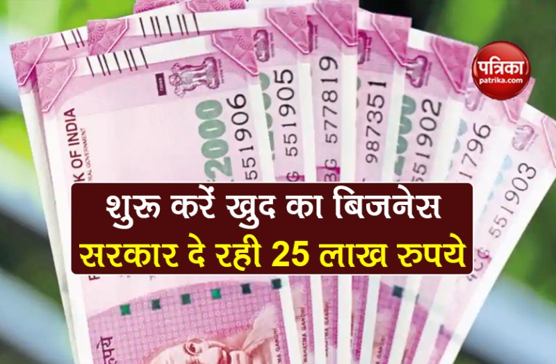 pradhan mantri laghu udyog yojana 250000 rs loan for business details