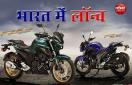2020 Yamaha FZ 25 BS6 And Yamaha FZS 25 Launched in India