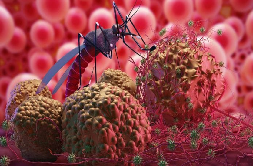 Malaria: इन दिनों मलेरिया से रहें सावधान, जानें इसकी अवस्थाओं और इलाज के बारे में