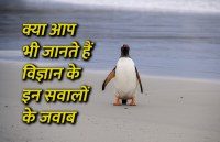 Education, interview, exam, online test, rojgar samachar, interview tips, online exam, Mock Test, general knowledge, GK, interview questions, jobs in hindi, rojgar, competition exam, mock test paper, sarkari job, questions Answers, GK mock test, General Science Questions, Questions and answers, common general knowledge questions and answers, common general knowledge questions and answers