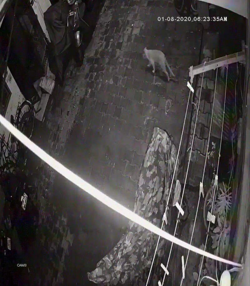 Aligarh Theft in CCTV