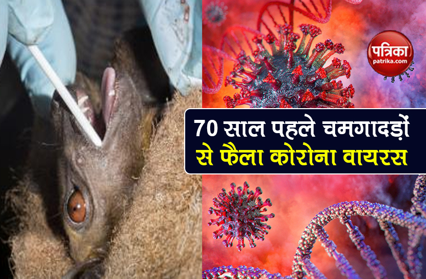 coronavirus is exists since 40 to 70 years found in bat say scientist