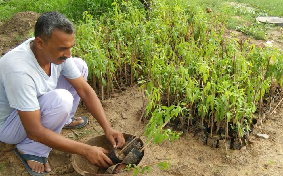 करौली में पुलिस को चुनौती दे रहे चंदन चोर, हिण्डौन के किसानों की बढ़ा रहे चिंता