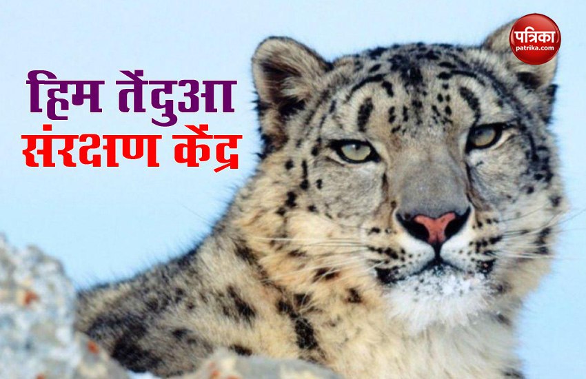 Uttarakhand will have India first Snow Leopard Conservation Centre