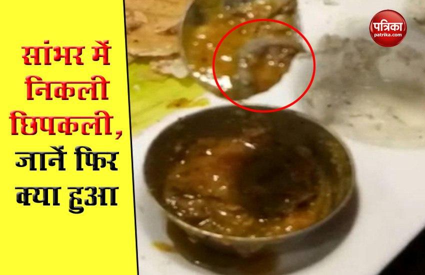 dead lizard found in delhi famous restaurant