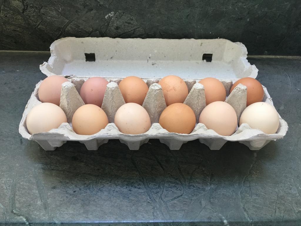 organic_eggs.jpg