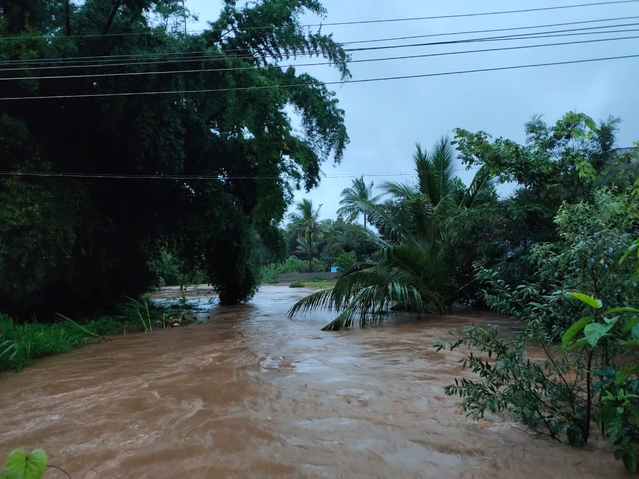 Heavy rain reported in Nilgiri District