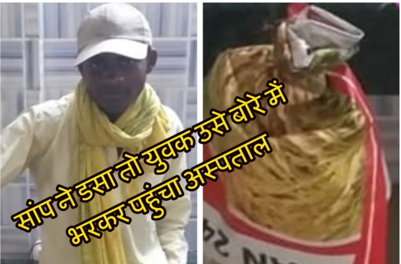 बोरी में सांप भरकर अस्पताल पहुंचा युवक, बोला- डॉक्टर साहब, इसने मुझे डस लिया है, क्यों पकड़ा ये भी बताया